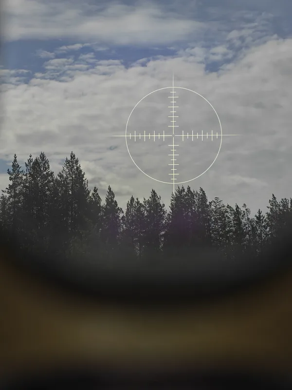 Abgebildet ist der Blick durch eine Visieroptik mit einem eingeblendeten Absehen auf eine Baumreihe vor einem bewölkten Himmel. Der unscharfe, dunkle Rahmen im Vordergrund stellt die Begrenzung des Okulars dar.