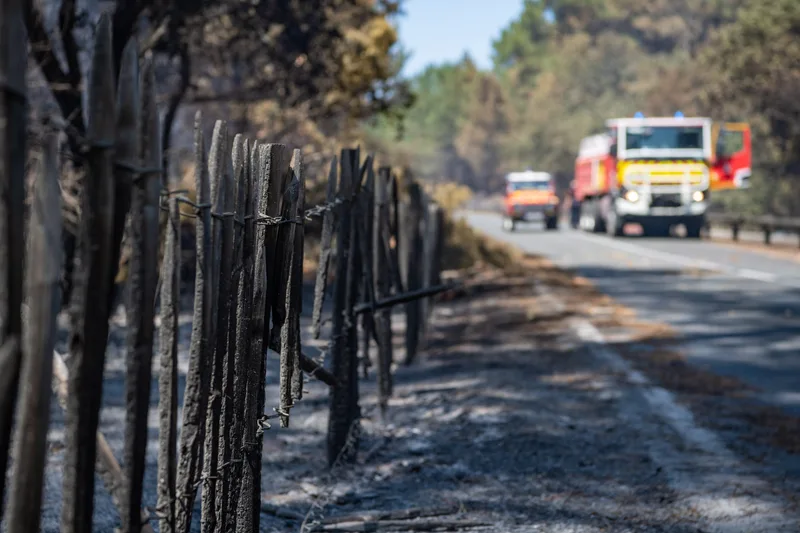 Verkohlter Holzzaun nach Waldbrand mit bereitstehenden Einsatzfahrzeugen der Feuerwehr am Straßenrand