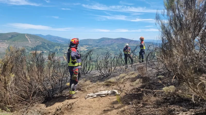 Die niedersächsischen Feuerwehrleute waren eines von mehreren deutschen Teams, das zur Unterstützung nach Spanien entsandt wurde.