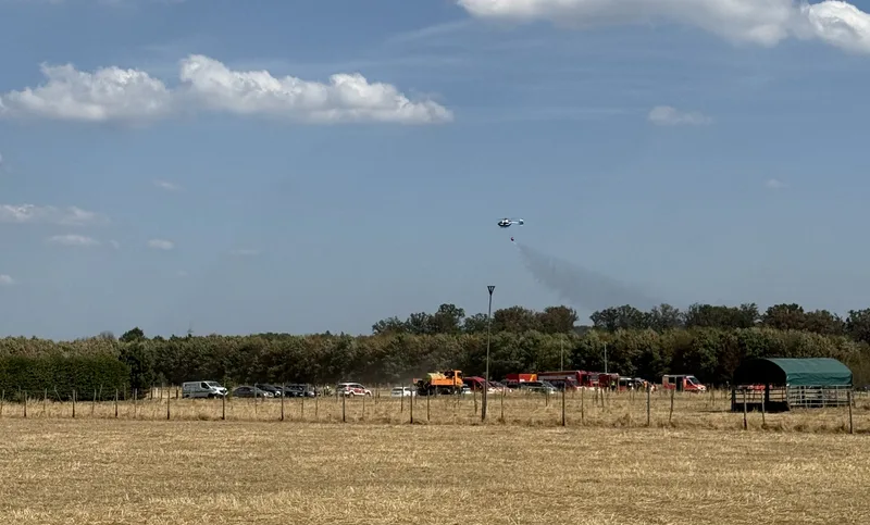 Nicht nur im Eifler Hürtgenwald, auch in der Nähe unserer Redaktion in Meckenheim war am Montag ein Waldbrand ausgebrochen.