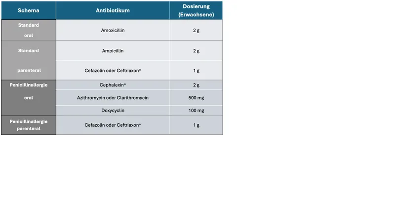 Übersichtstabelle mit Dosierungsempfehlungen für Antibiotika bei Erwachsenen unterteilt nach Applikationsart und Indikation