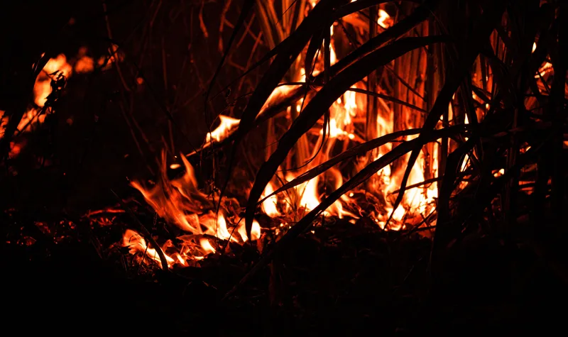 Waldbrand