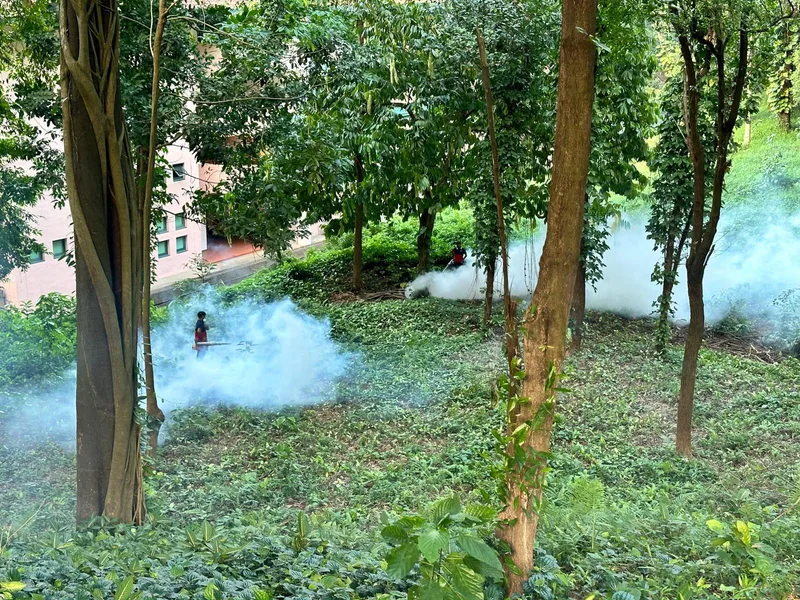 Singapore Armed Forces personnel performing dengue control measures
