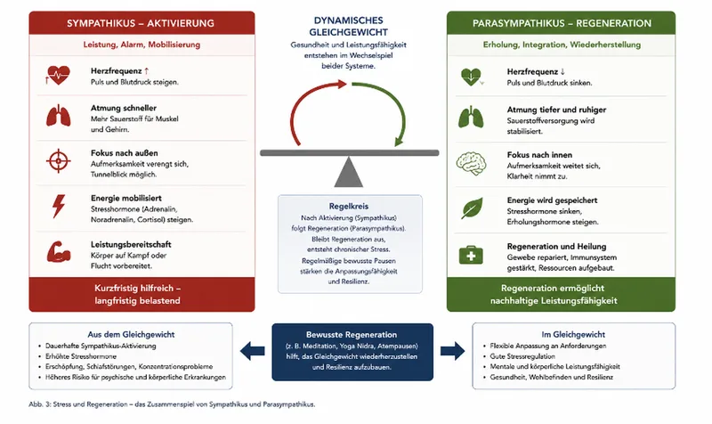 Medizinische Infografik zur Balance von Sympathikus und Parasympathikus im vegetativen Nervensystem mittels einer Waagensymbolik