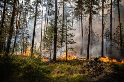 Zivile Verteidigung und Klimawandel