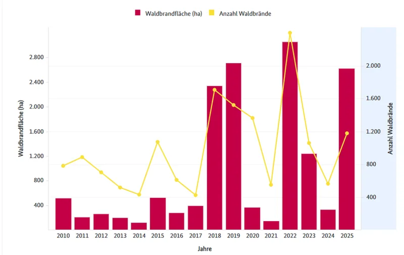 Kombiniertes Säulen- und Liniendiagramm zur Waldbrandstatistik von 2010 bis 2025 mit betroffener Fläche in Hektar und Anzahl der Brände
